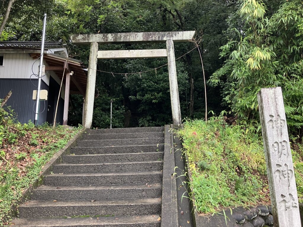 Img 0369